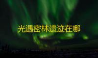 光遇密林遗迹在哪