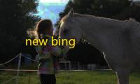new bing